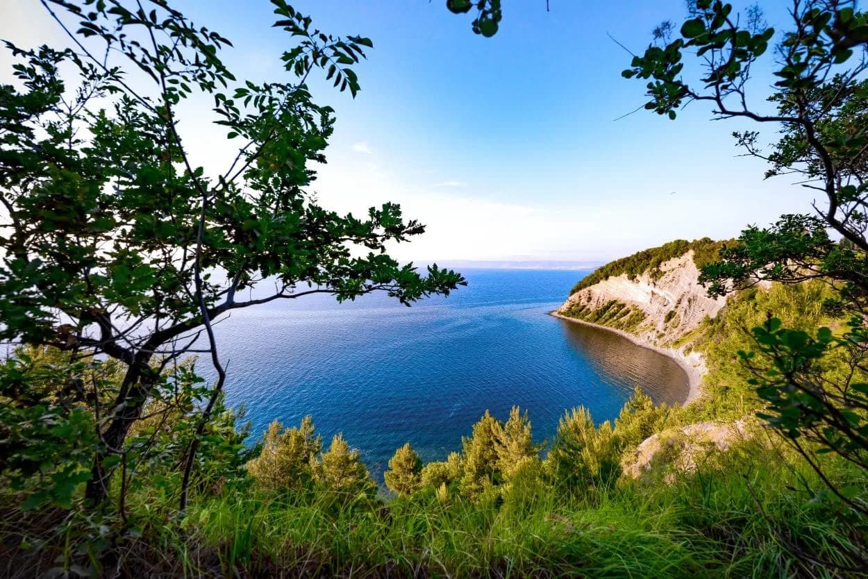 View of Strunjan beach cove from a clifftop framed by green foliage and blue sea.