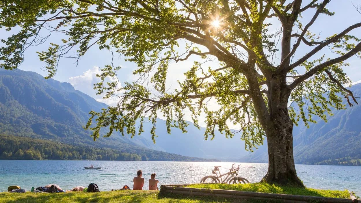 People sunbathing by Bohinj lake under a large tree with mountains in the background.