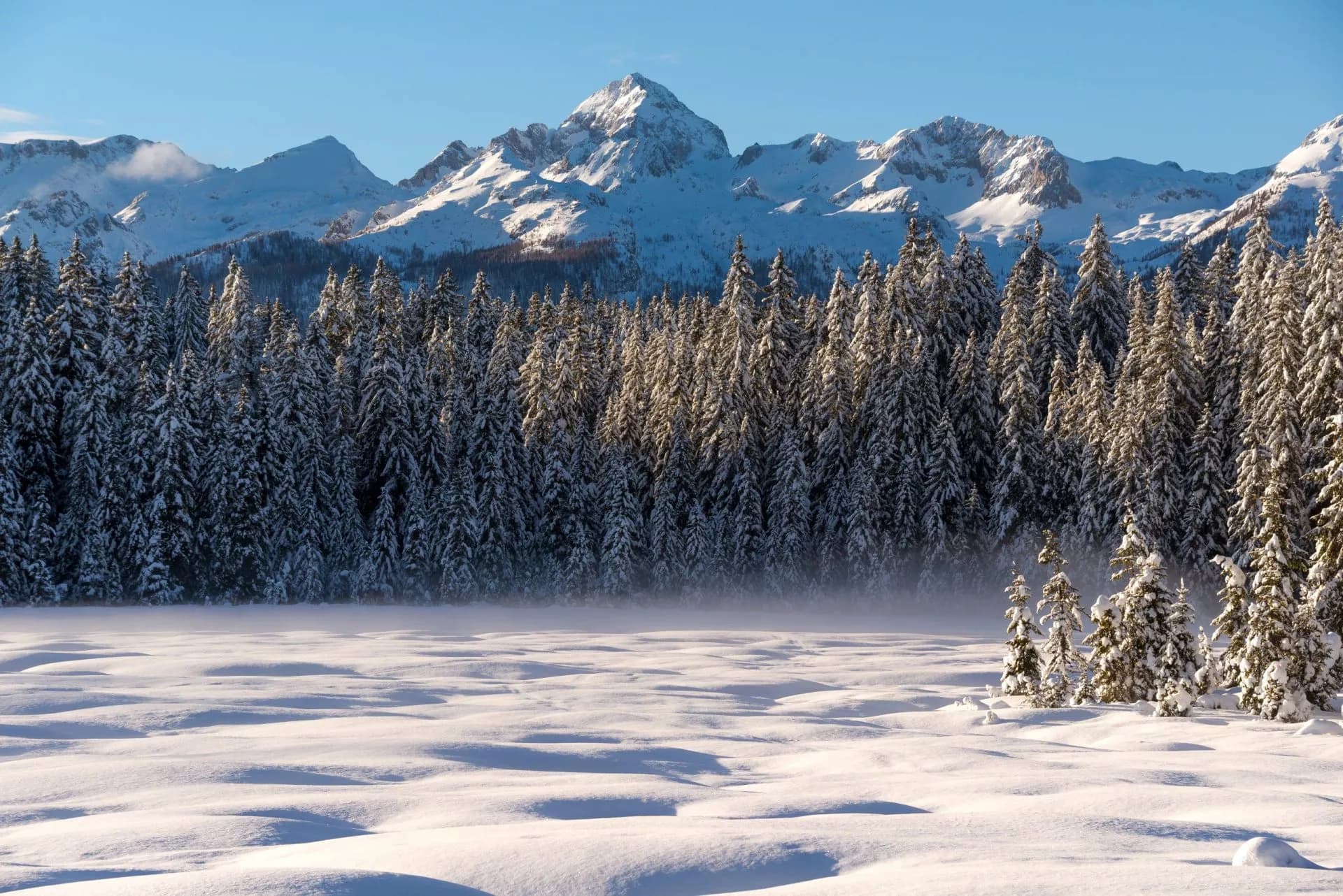 Triglav mountain in winter above snow-covered forest viewed from Pokljuka.