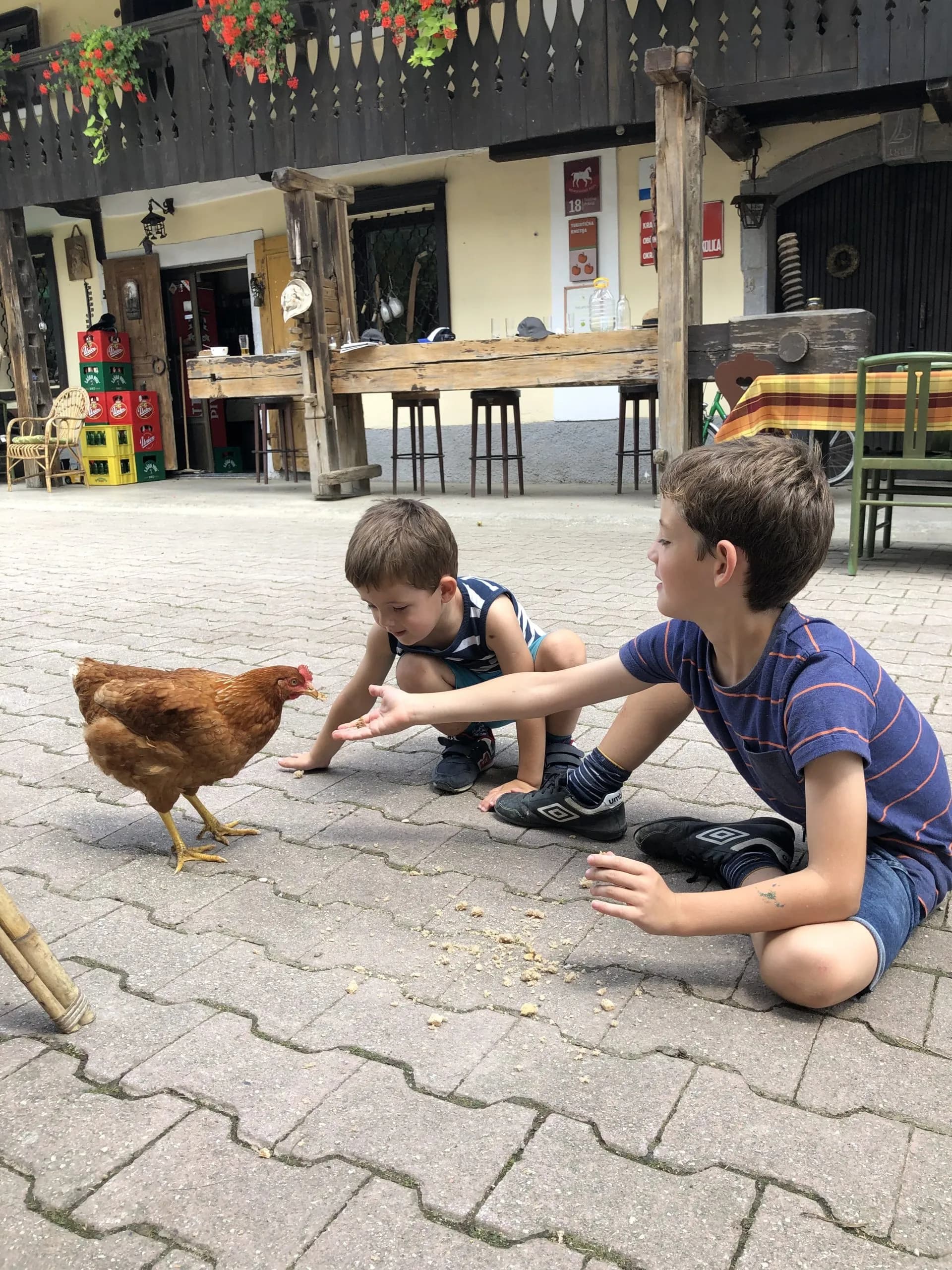 Two boys feeding a brown chicken on a paved courtyard near a traditional building in Slovenia.
