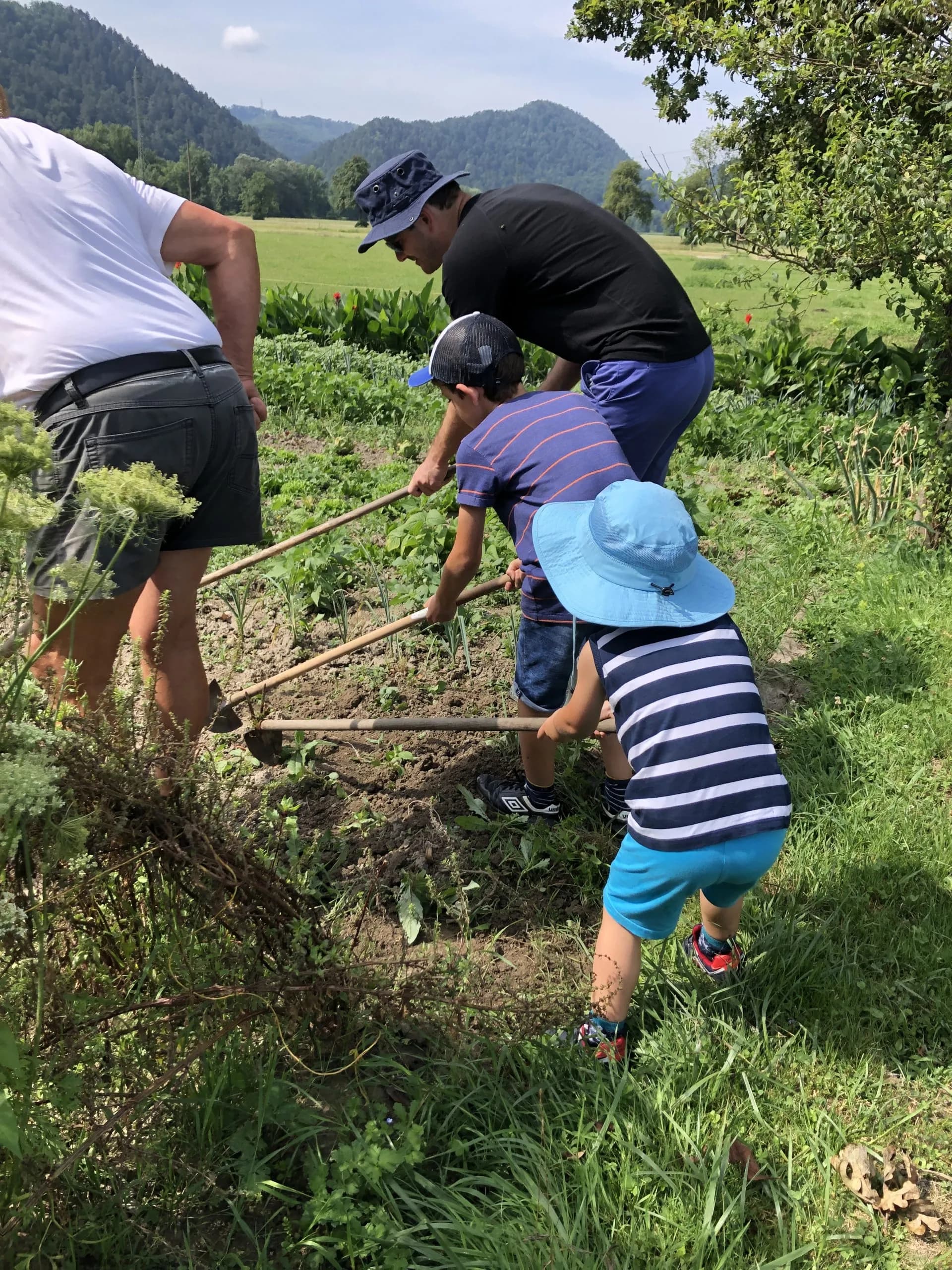 Family gardening with hoes in a field with green hills in the background