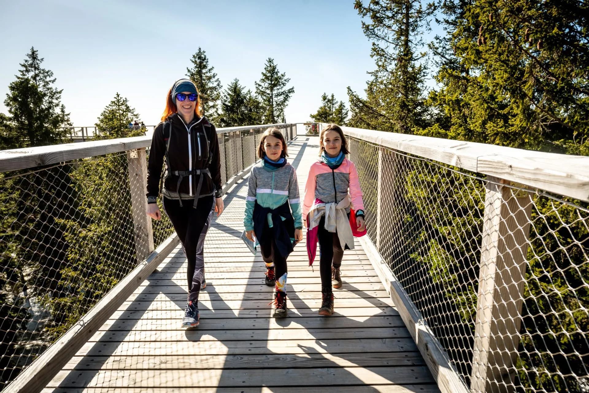 Family hiking on a wooden treetop walkway surrounded by evergreen forest on a sunny day.