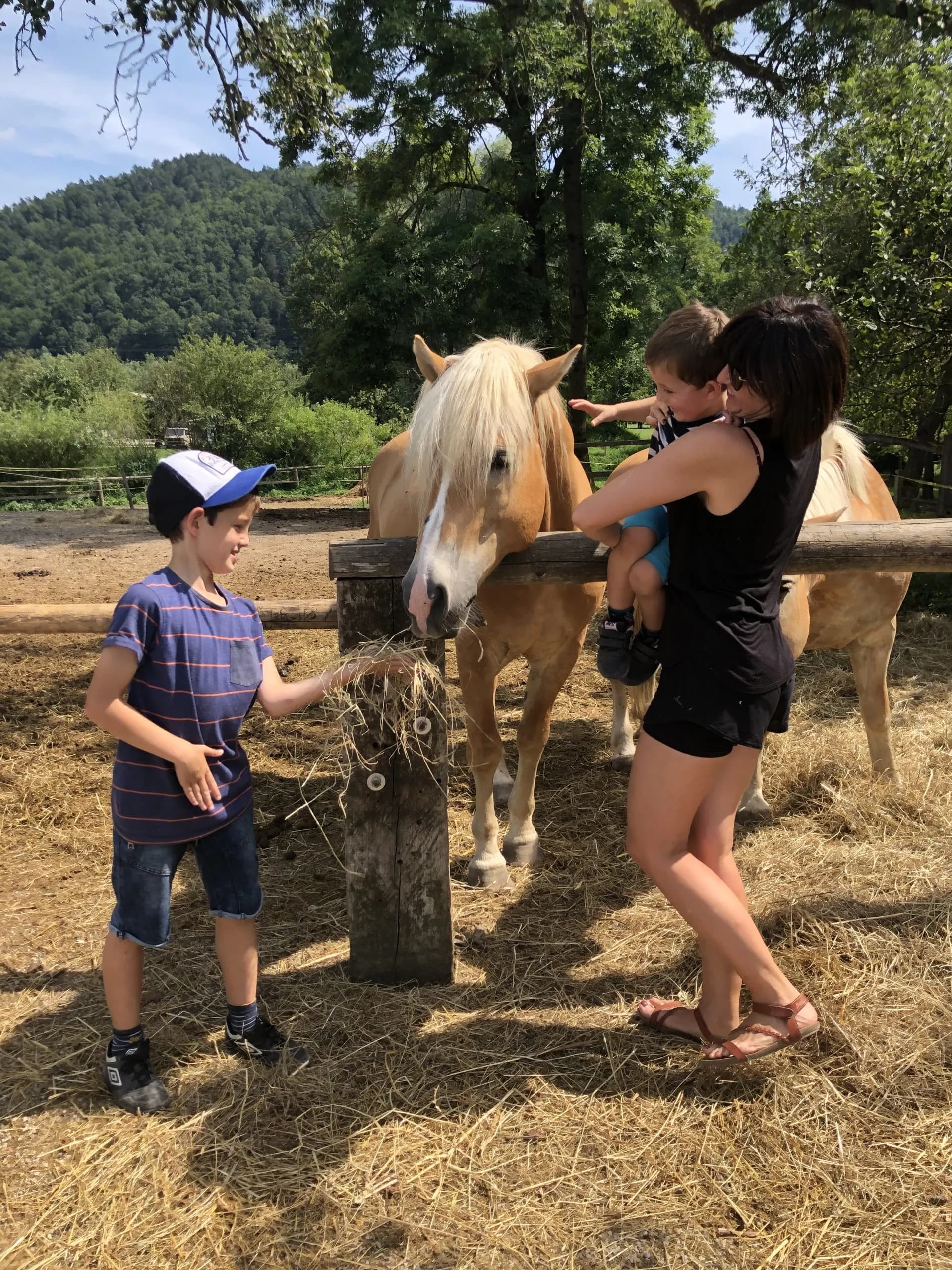 Children feeding a light brown horse hay at a farm with forested hills in the background.