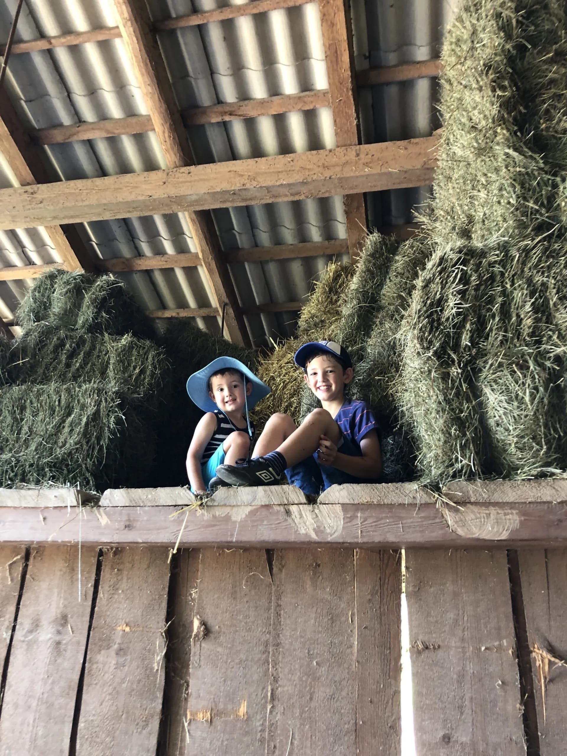 Two smiling children sitting on a wooden beam in a barn loft surrounded by hay bales.