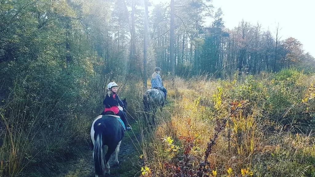 Children horseback riding on a trail through tall grass and dense woods