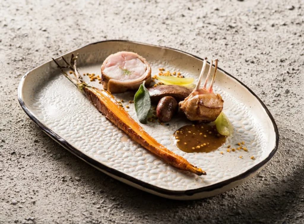 Gourmet dish with lamb chops, rolled meat, roasted carrot, and sauce on textured plate