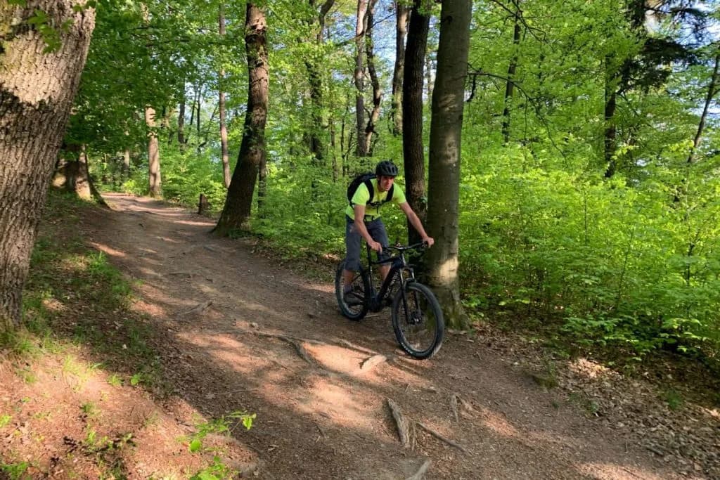 Mountain biker riding on a dirt trail through a lush green forest near Ljubljana Golovec.