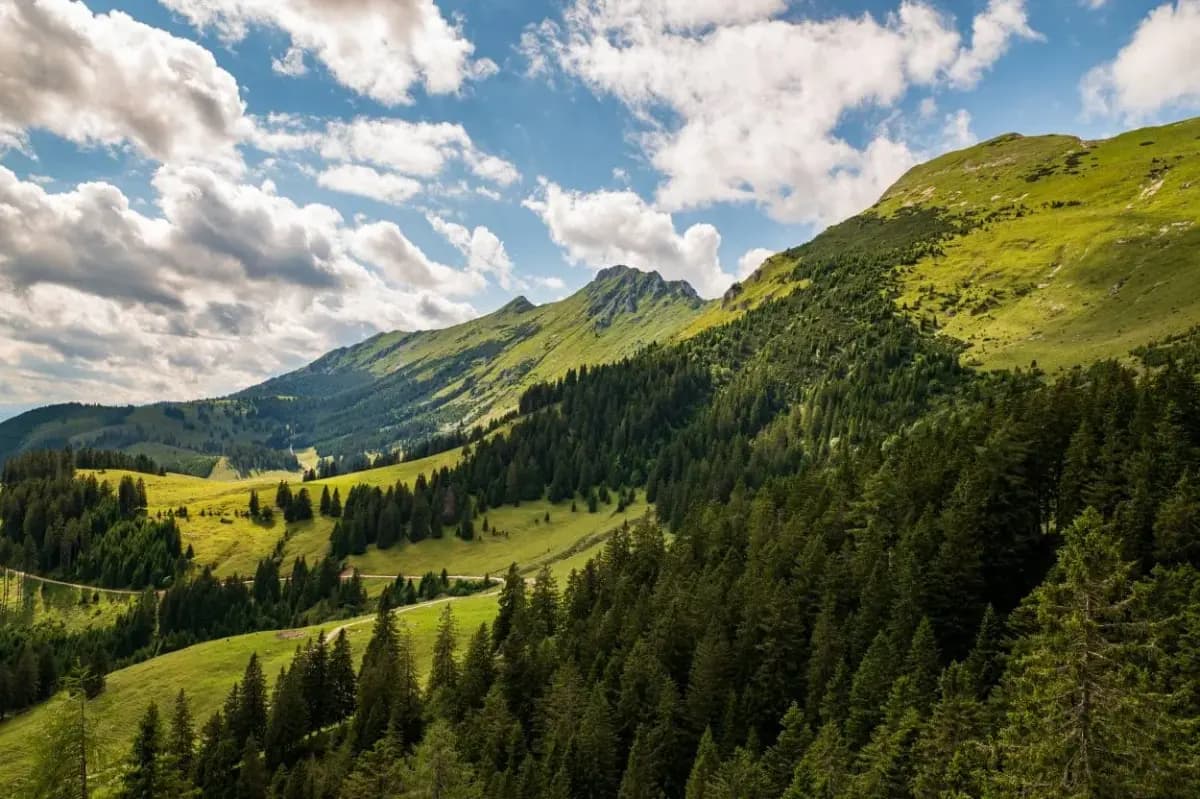 Green Karavanke mountains with lush forests and rolling grassy slopes under a cloudy blue sky.