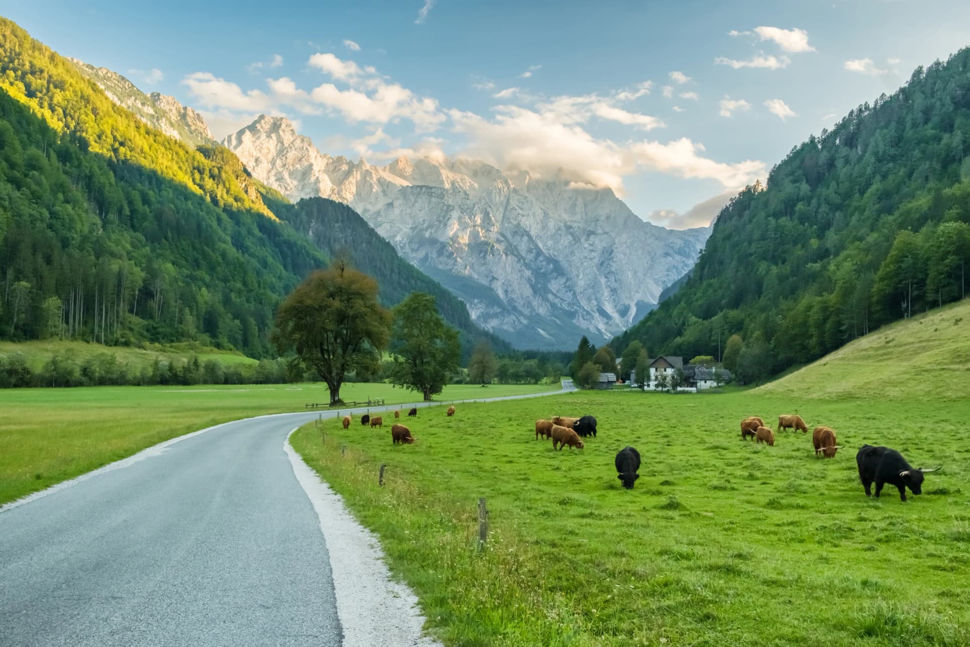 Idyllic scene with a rural road in the Alpine landscape, Logar Valley, Slovenia