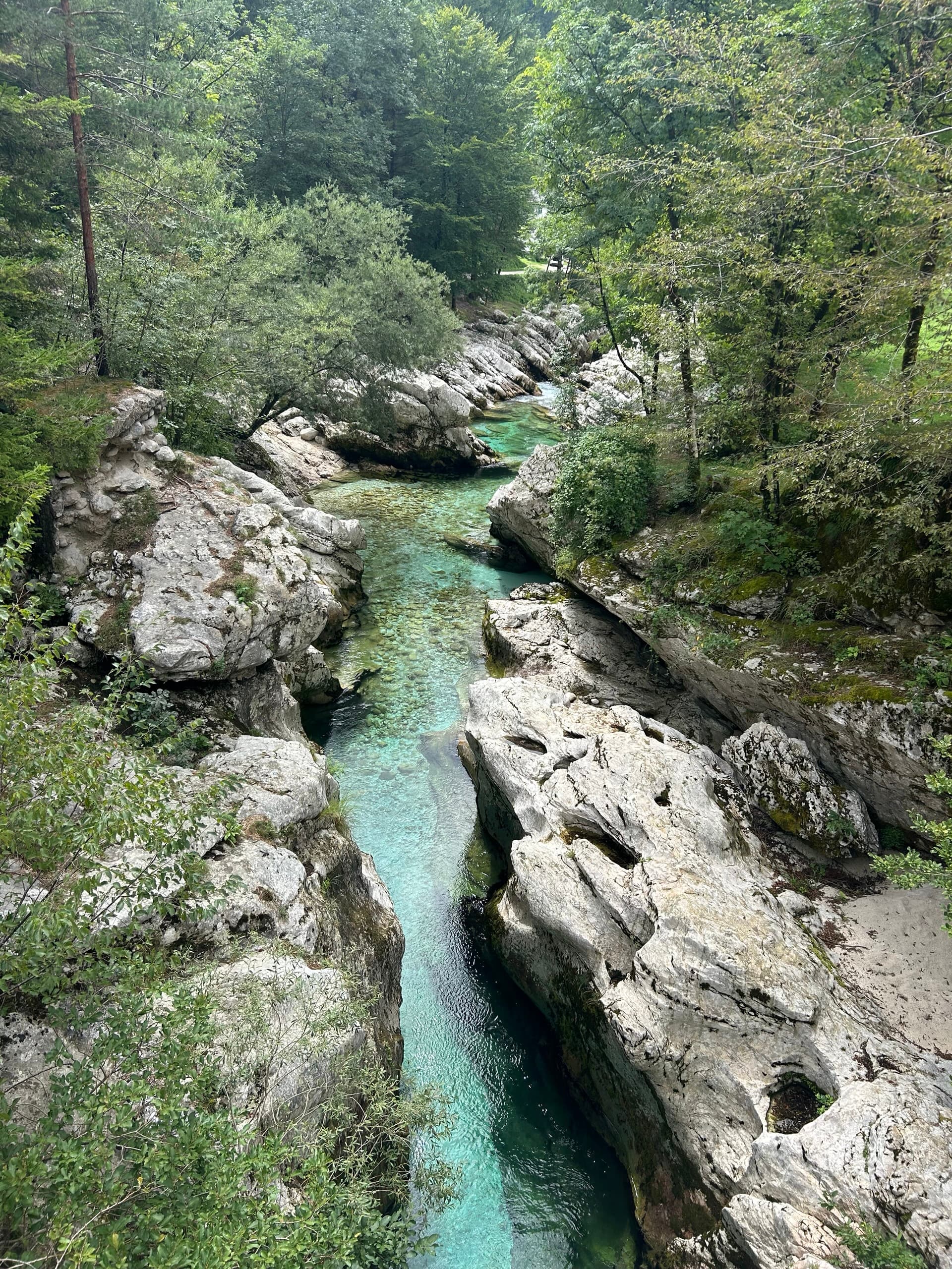 Turquoise river flowing through rocky gorge in Soca Valley