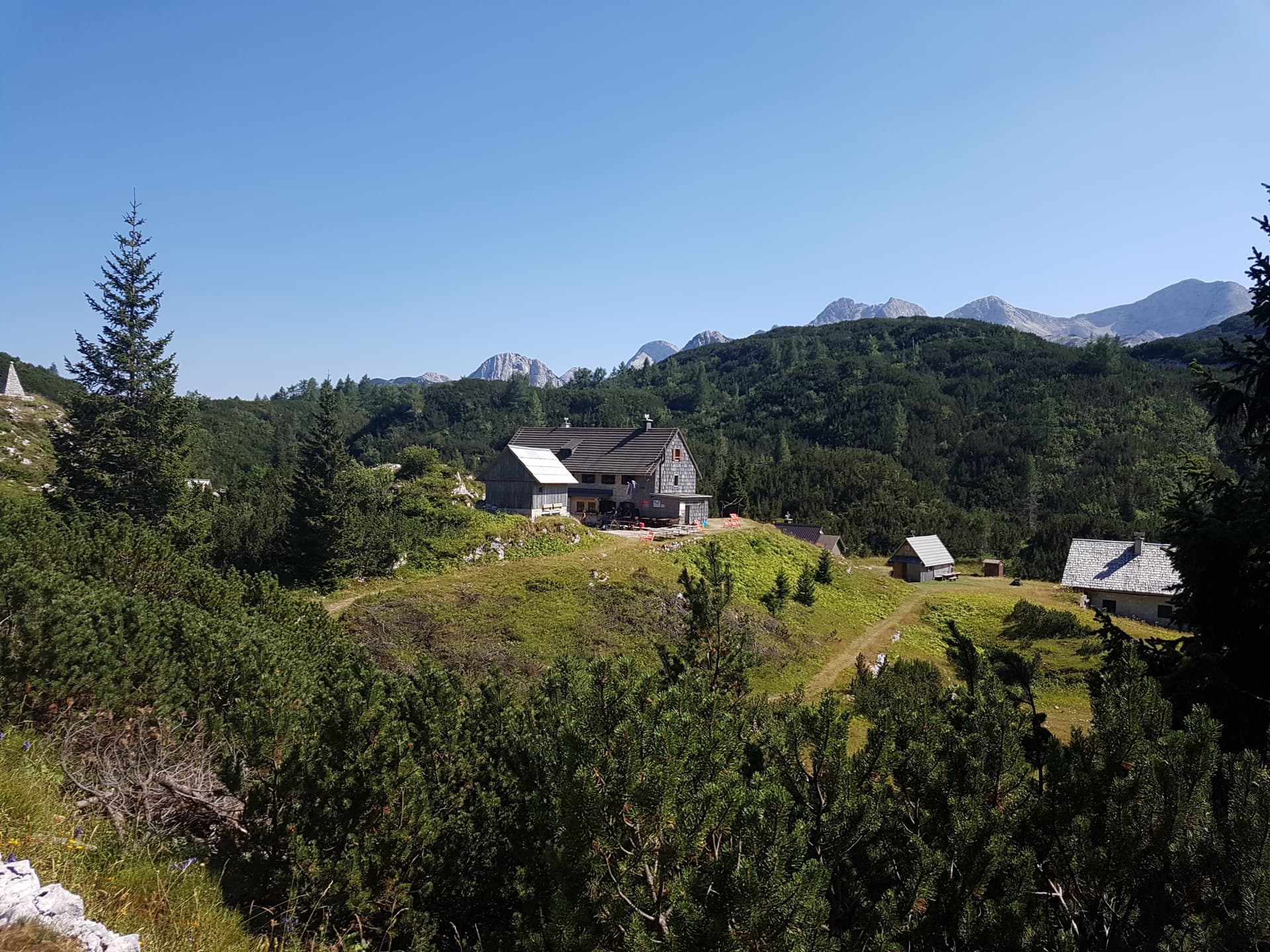 Mountain hut on alpine pasture surrounded by pine trees and distant peaks