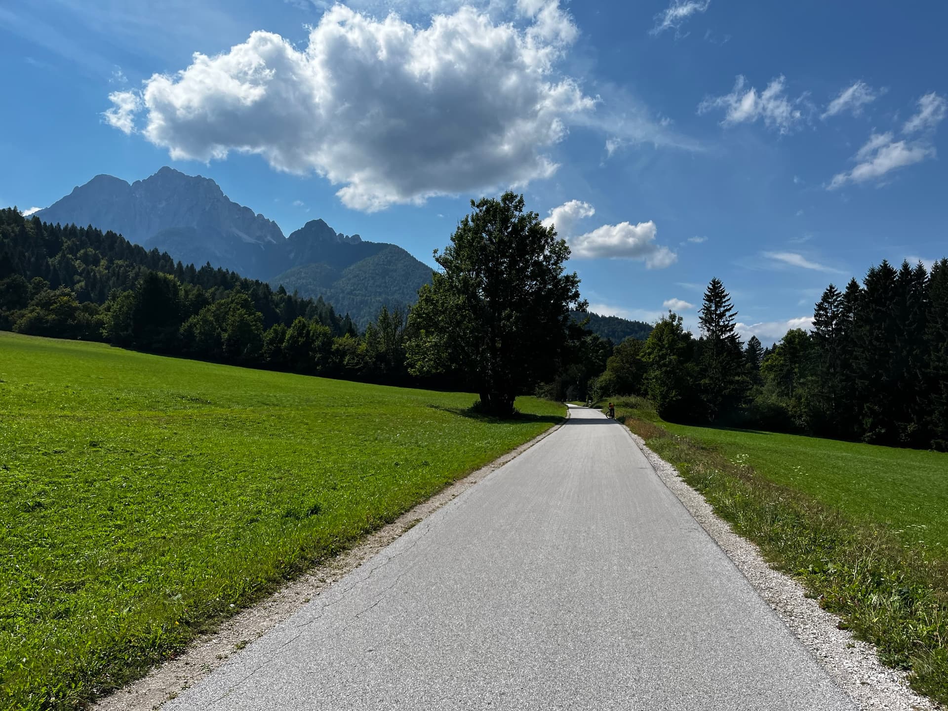 Quiet road through green fields towards the Julian Alps mountains