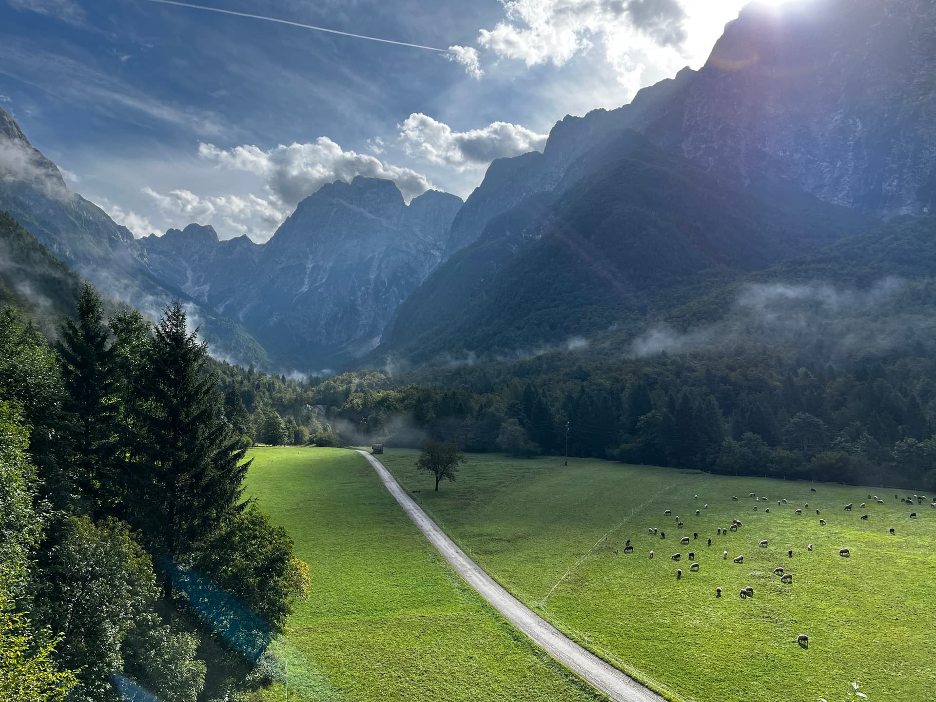 Alpine valley with green meadows, road, and grazing sheep beneath towering mountain peaks