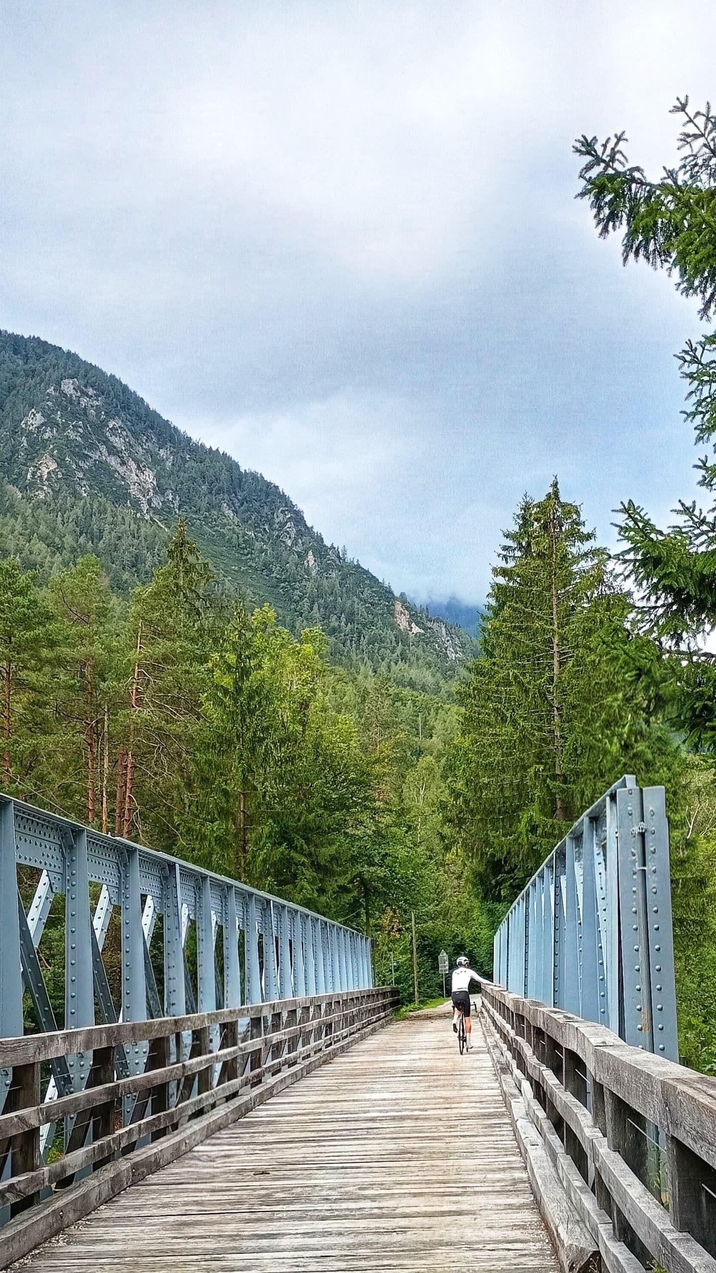 Cyclist riding across a steel bridge surrounded by forest and mountains