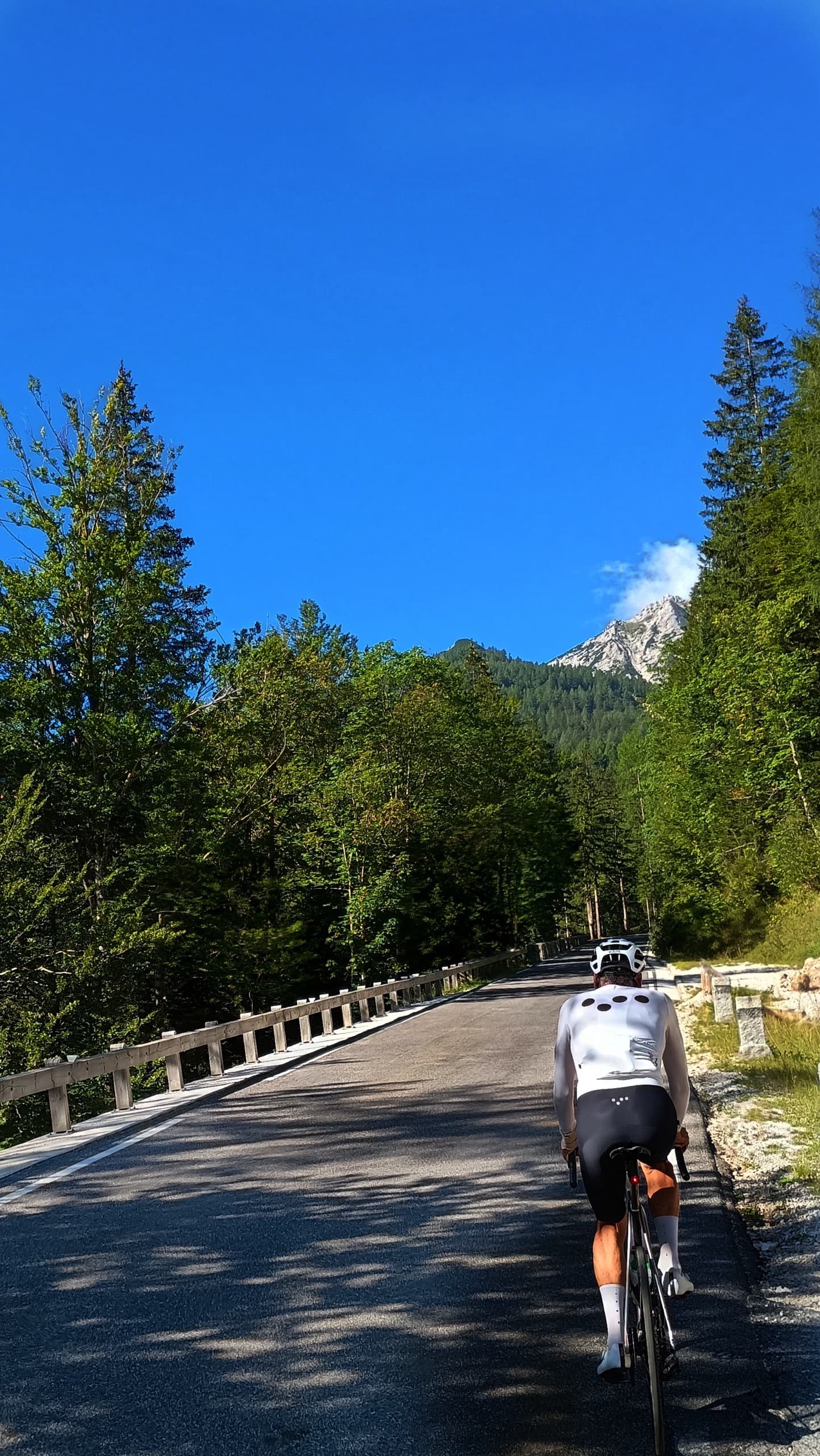 Road cyclist riding on an asphalt road through a mountain forest under a clear blue sky