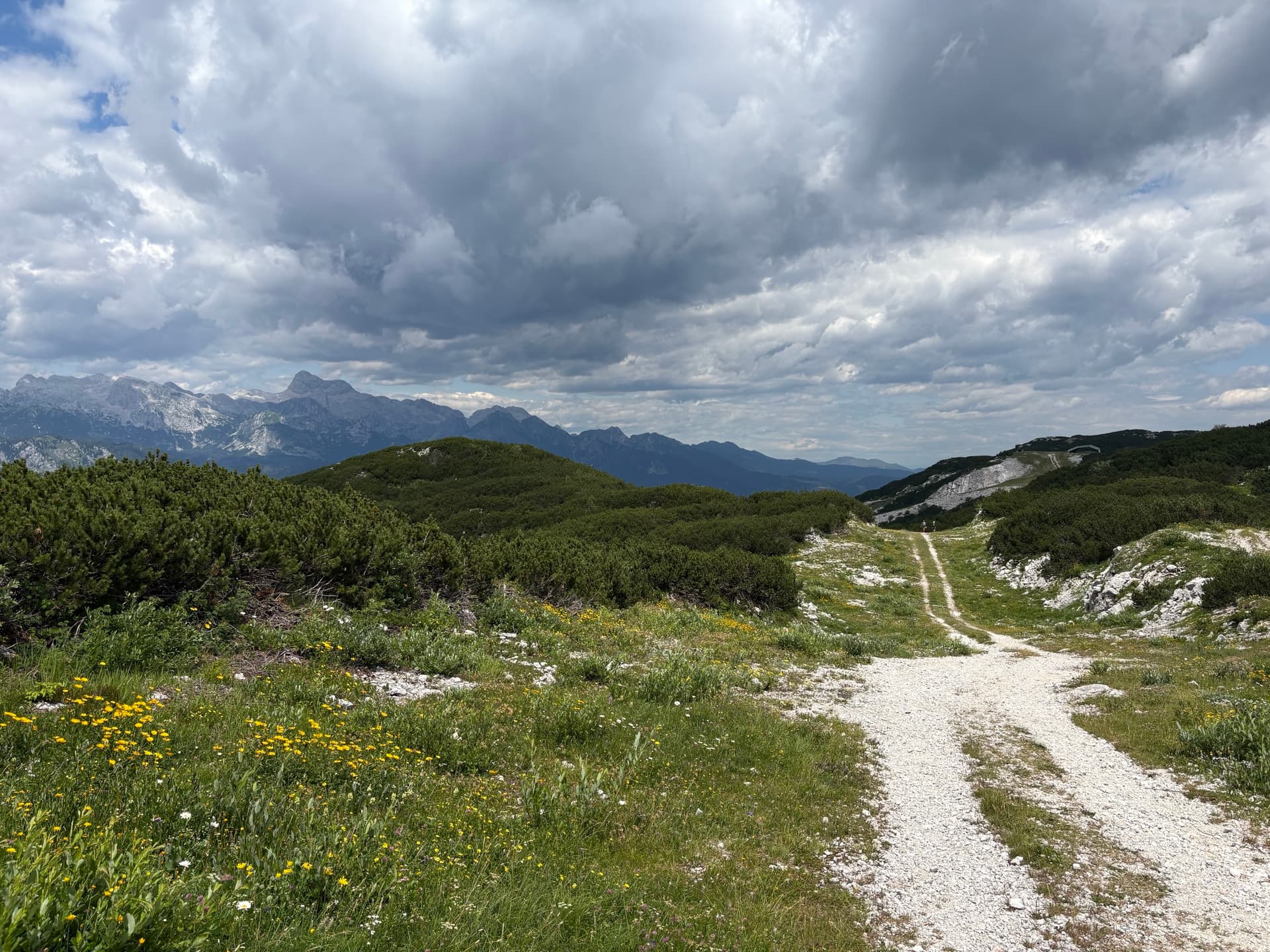Gravel track across high pasture with mountains and cloudy sky
