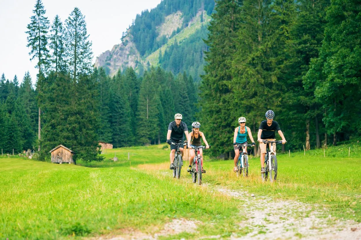 Two couples cycling in nature