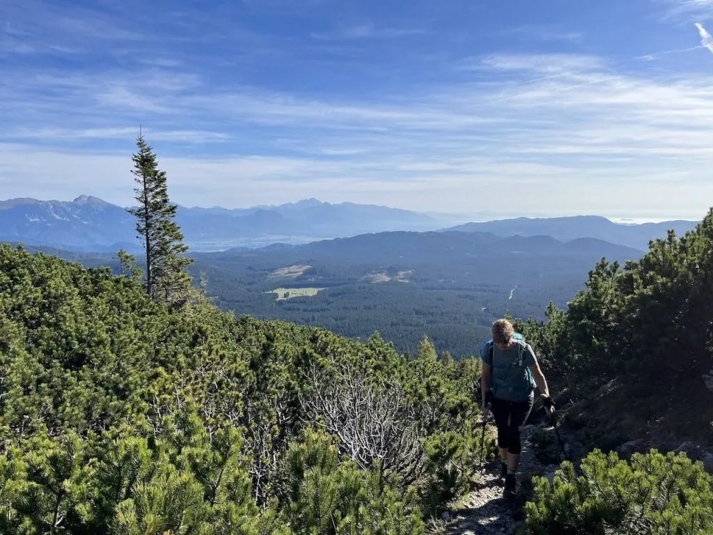 oberhalb der Waldgrenze tolle Aussichten offen