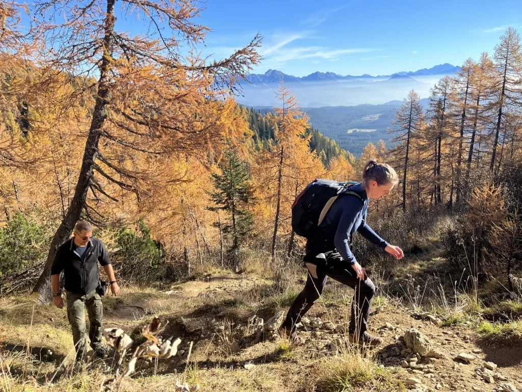 wandern in pokljuka skaliert