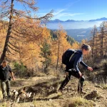 wandern in pokljuka skaliert