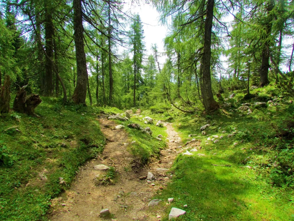 Wanderwege slowenien skaliert