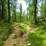 Wanderwege slowenien skaliert