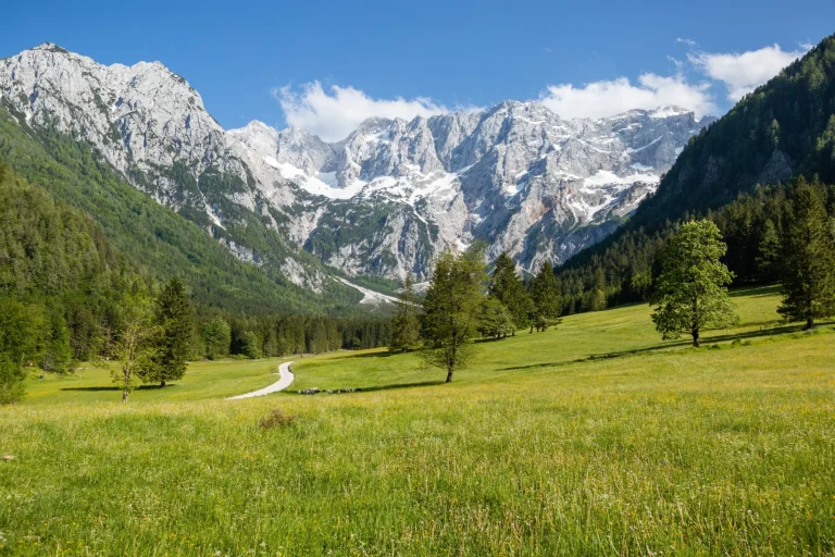 slovenië bergvallei weide met kamnik savinja alpen geschaald