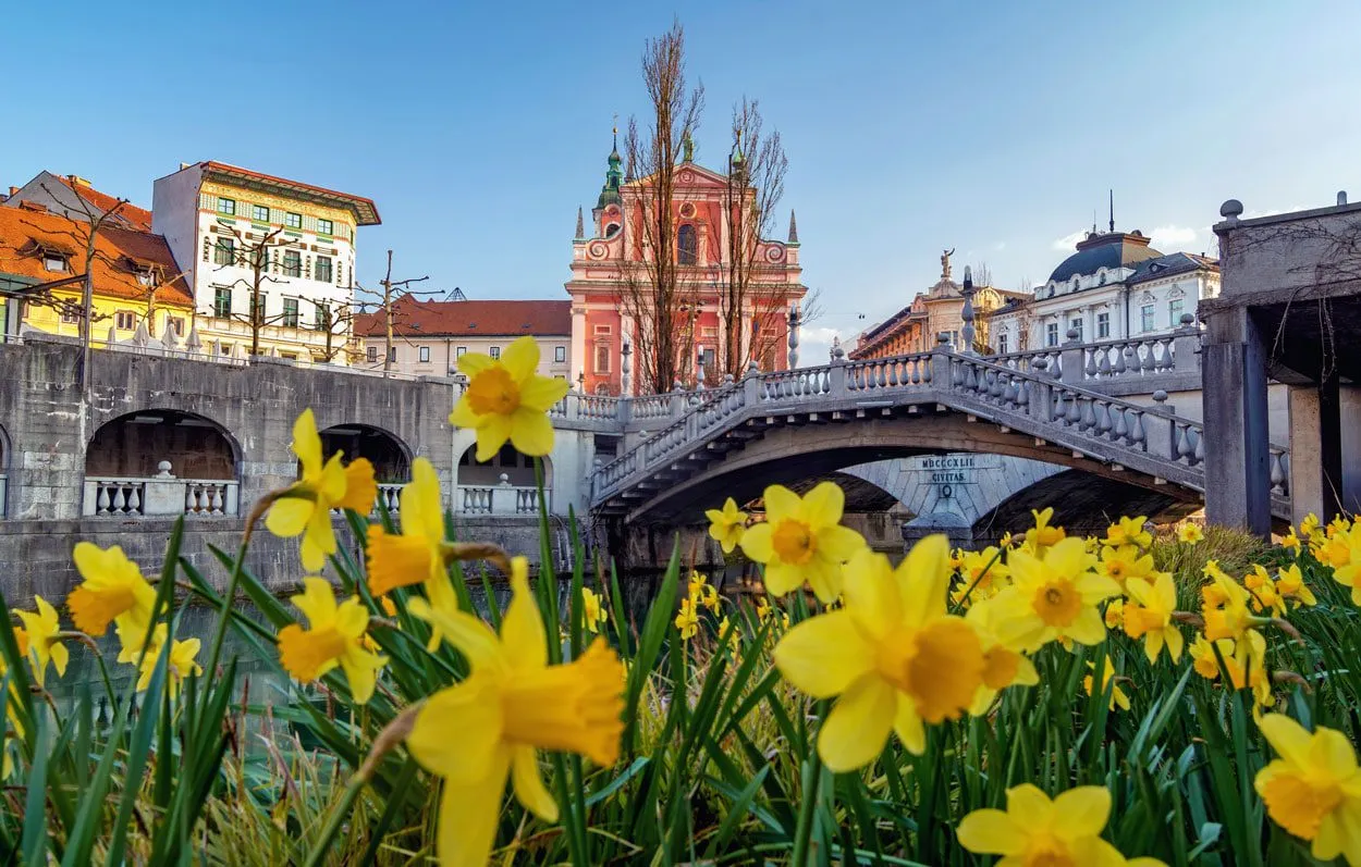 Vår ved Ljubljanas tre broer