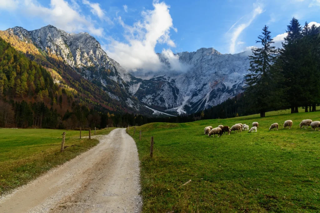 blick auf den berg skuta vom tal zgornje jezersko in nordslowenien skaliert