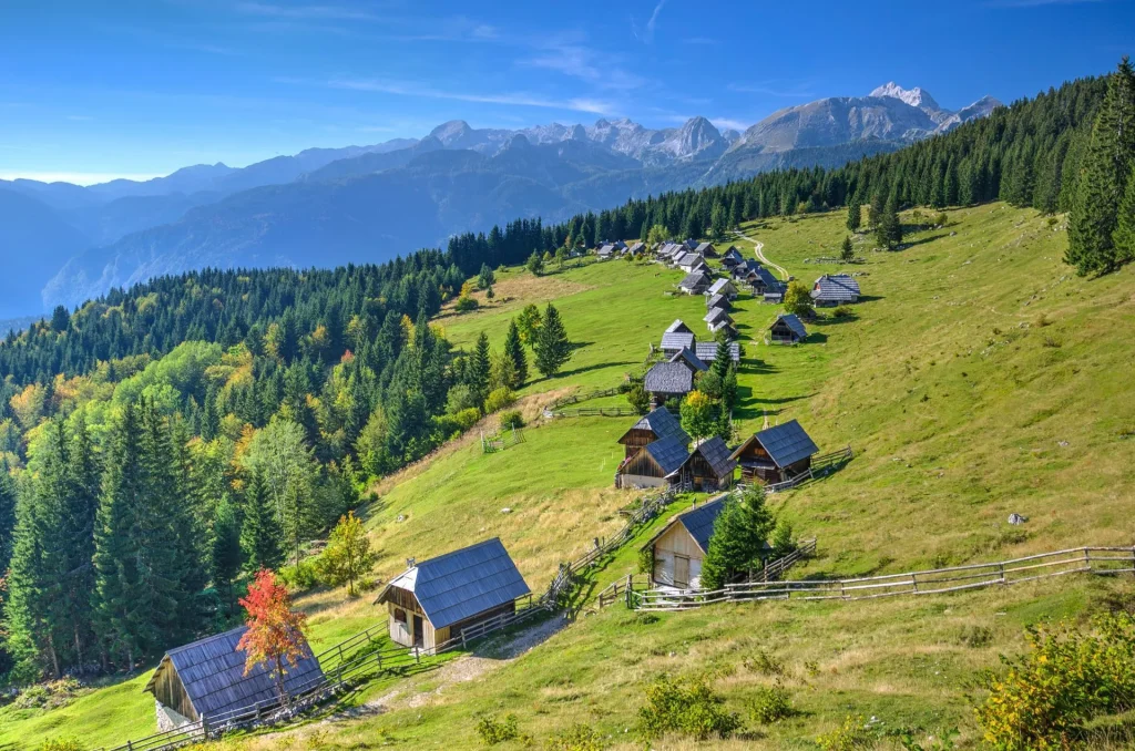 Zajamniki-Alm erklommen